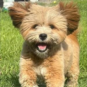 Meet your Posher, Kelli